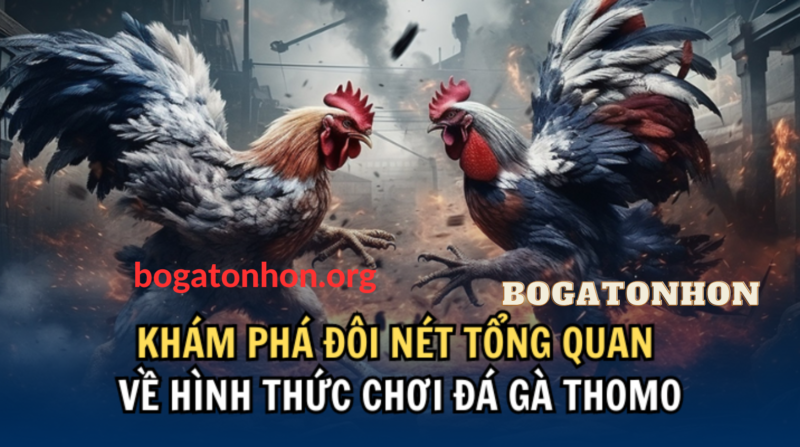 BỒ GÀ TONHON CPC