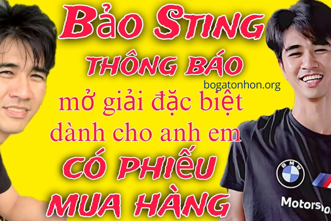 bảo sting - đá gà bồ gà tonhon 