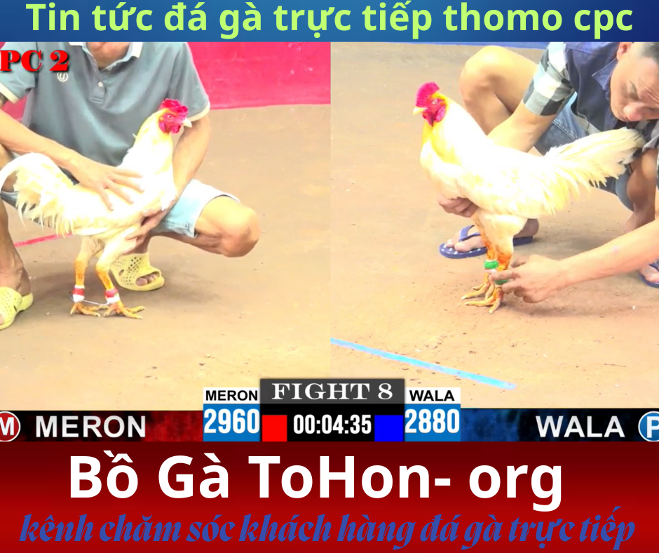đăng ký đá gà tại trang web ga67