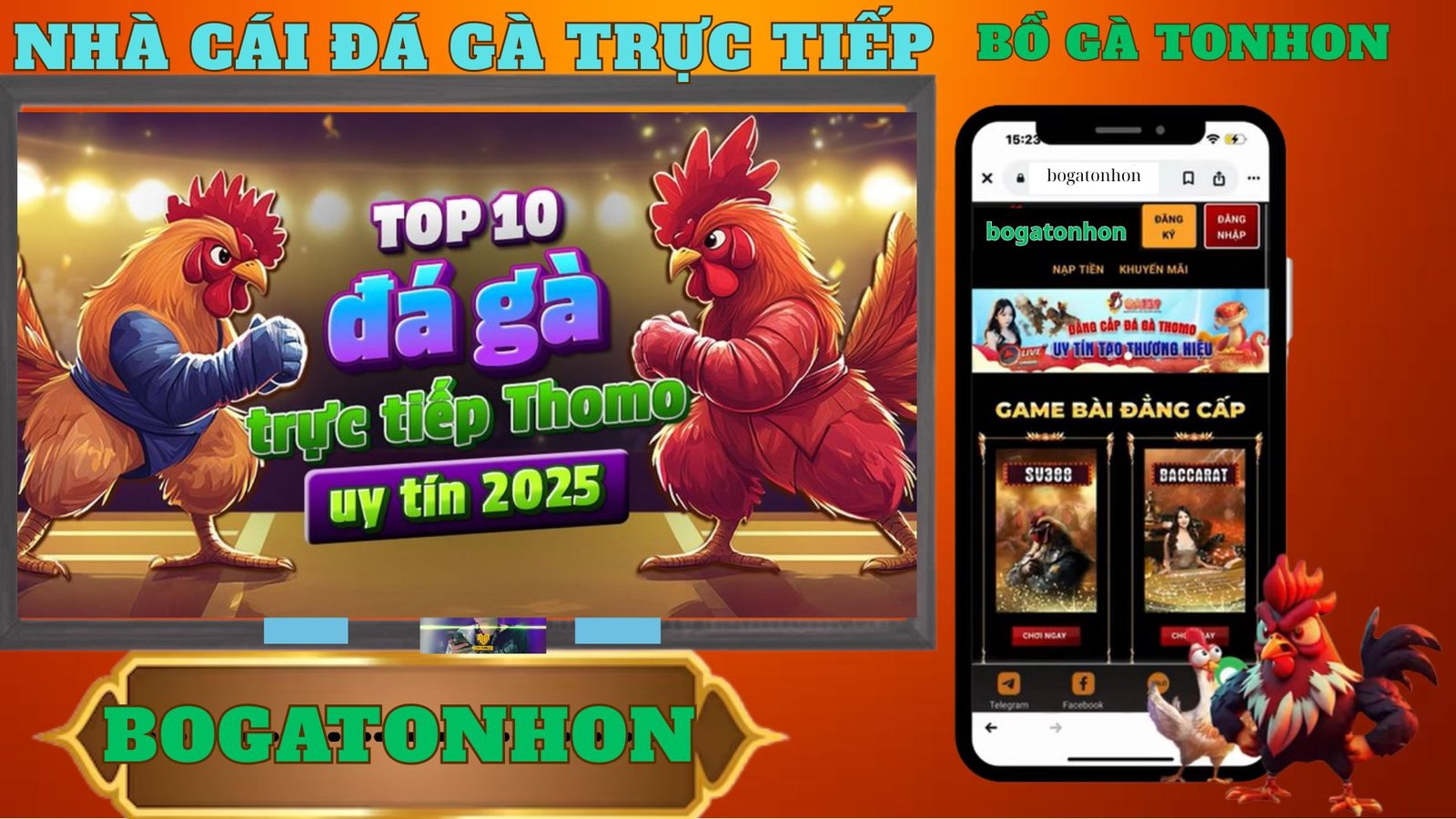 Bồ Gà TonHon: Trang Website Trực Tiếp Đá Gà