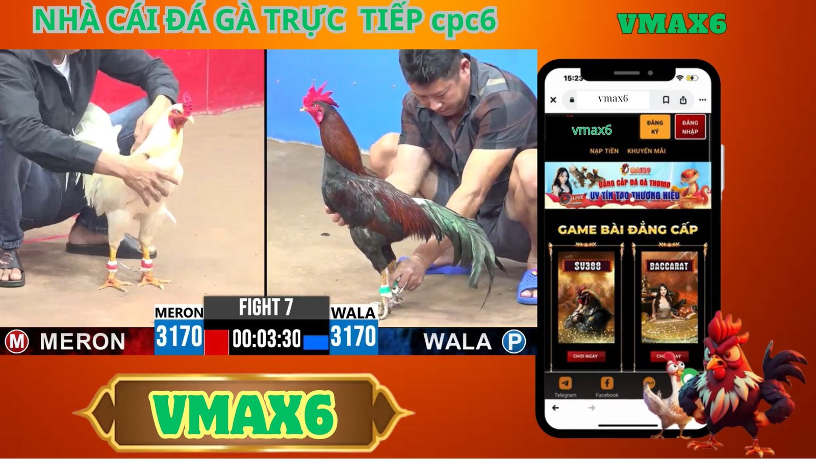 Đá Gà Trực Tiếp Tonhon: Địa Chỉ Hoàn Hảo Cho Người Yêu Thích Chọi Gà