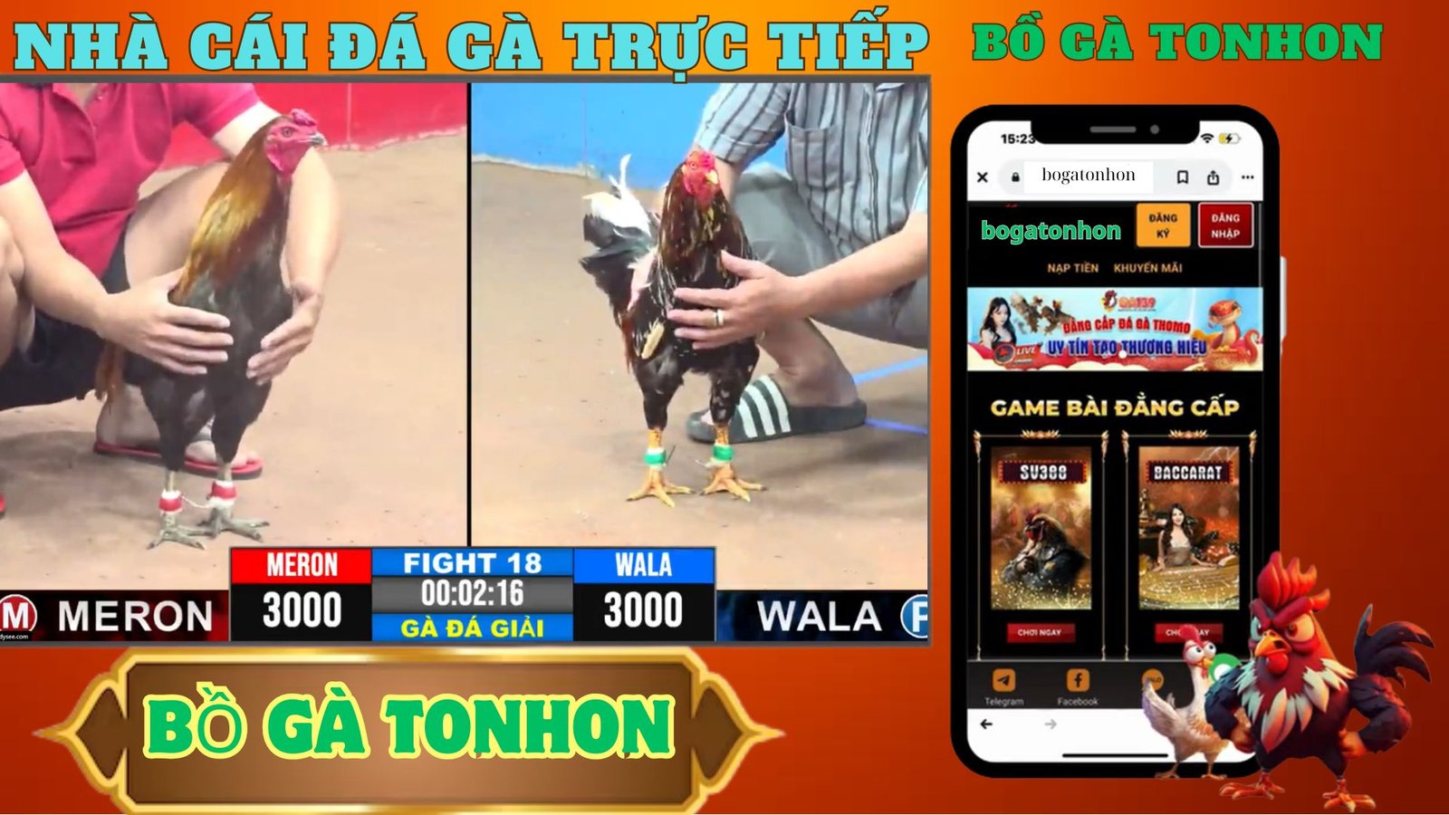 đá GÀ TONHON , GIẢI GÀ ĐÁ TONHON NGÀY 18/7/2025 BAOSTING VÔ ĐỊNH CÚP 