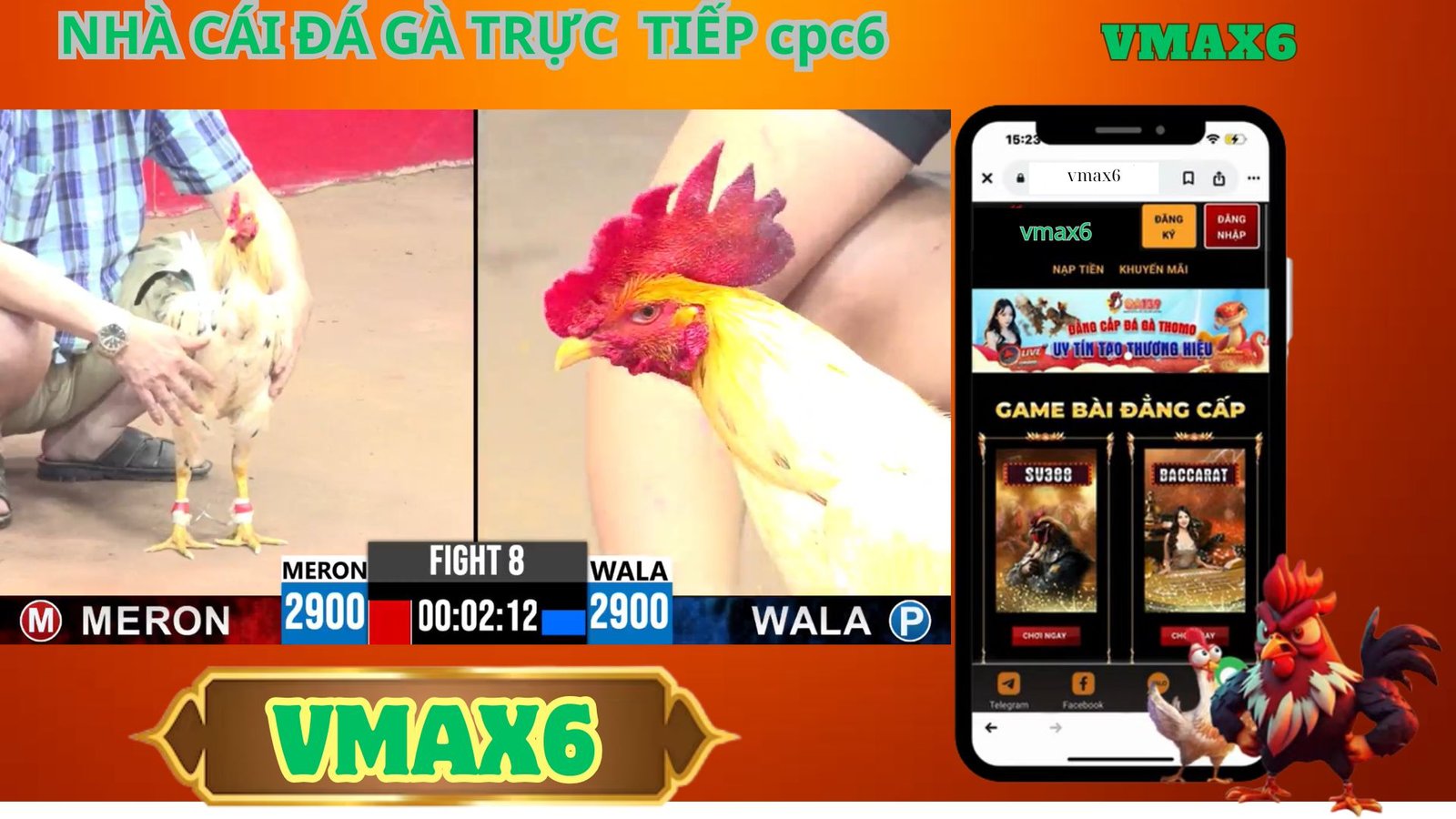 Lợi Ích Khi Tham Gia Đá Gà Trực Tiếp Tonhon