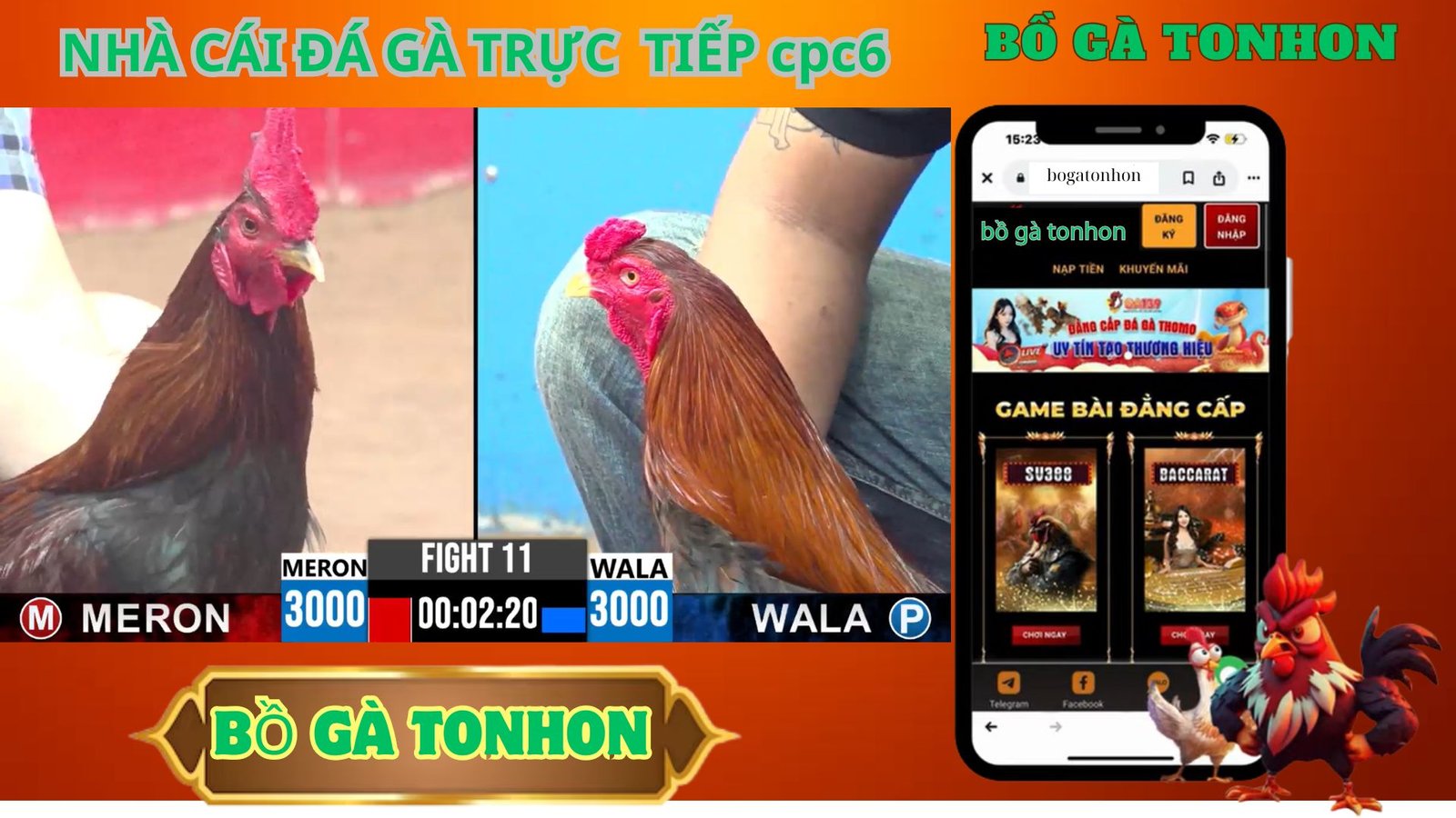 Tonhon Đá Gà Trực Tiếp Hàng Ngày: Khám Phá Thế Giới Thú Vị Của Đá Gà
