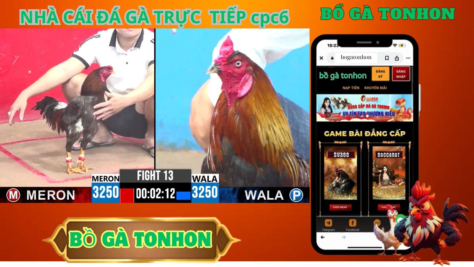 Hướng Dẫn Tham Gia Tonhon Đá Gà Trực Tiếp Hàng Ngày