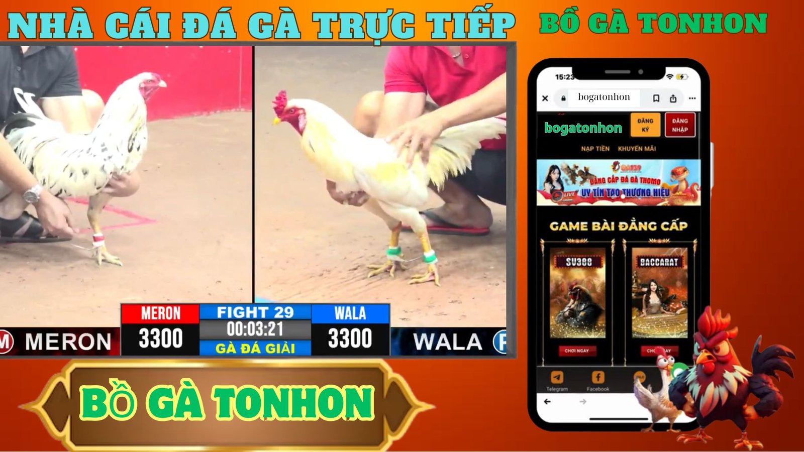 hướng dẫn tải app , đăng ký tài khoản tại nhà cái đá gà tonhon 