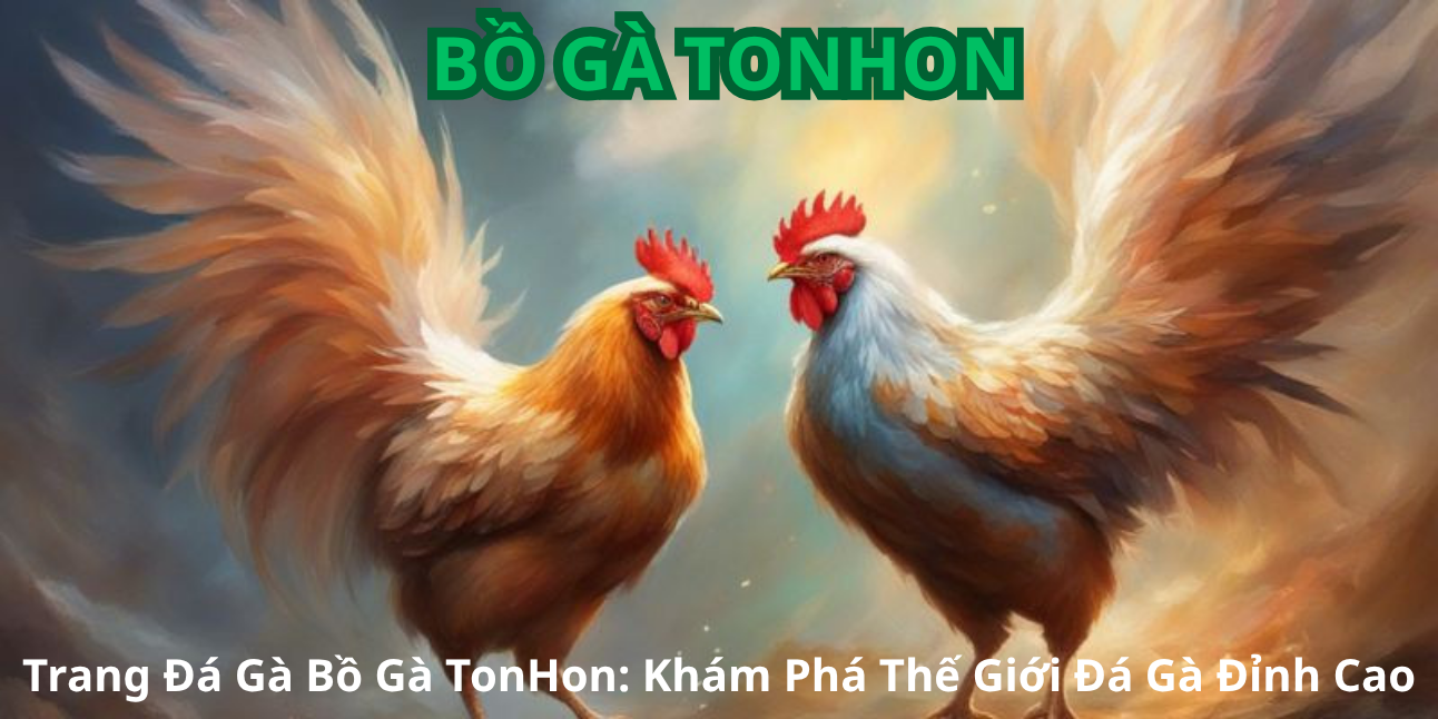 Những Điểm Nổi Bật Của Trang Đá Gà Bồ Gà TonHon