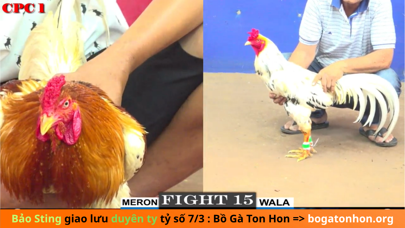CSKH 24/24 @dinhdung997 luôn sẵn sàng hỗ trợ và tư vấn cho người tham gia