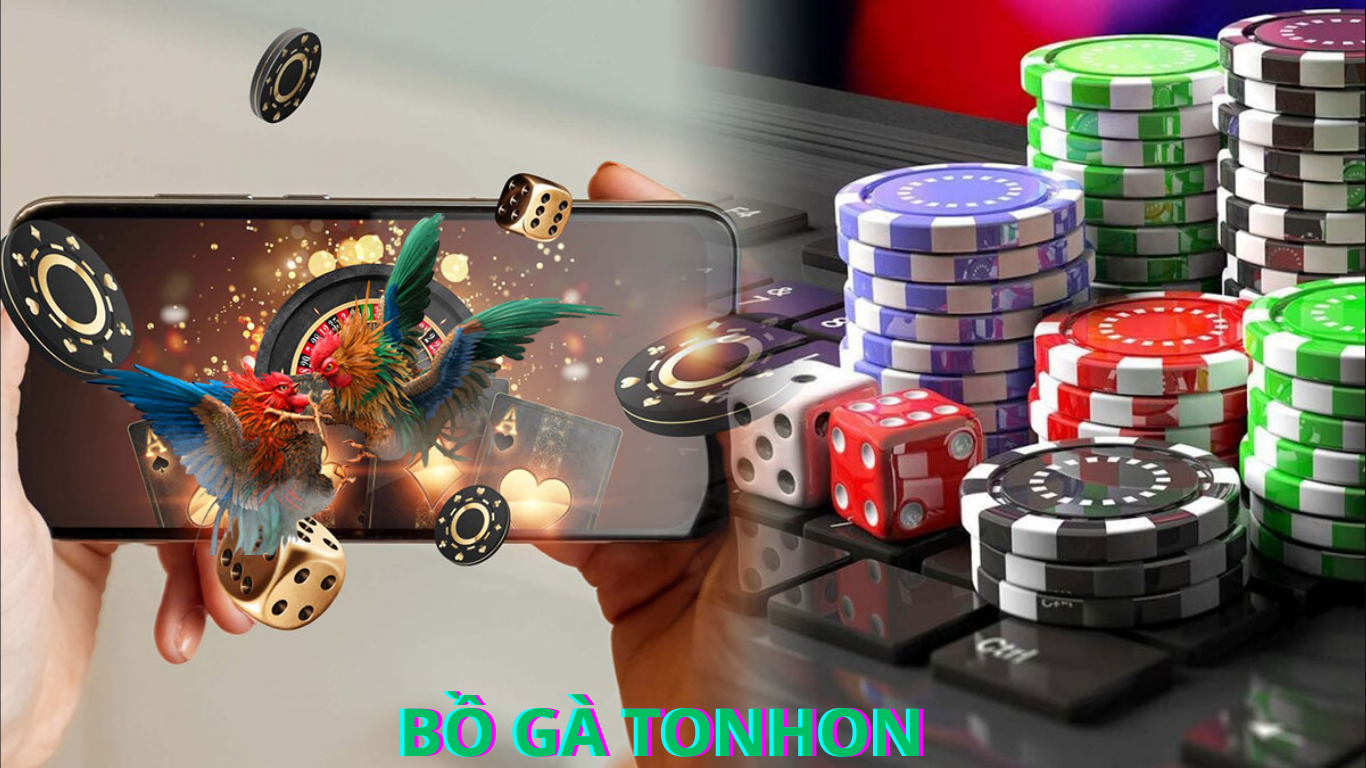 Hướng dẫn theo dõi đá gà trực tiếp