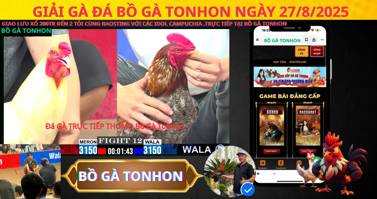 Giải Đá Gà Bồ Gà Tonhon Ngày 27.08.2025: Sự Kiện Thể Thao Đáng Chờ Đợi