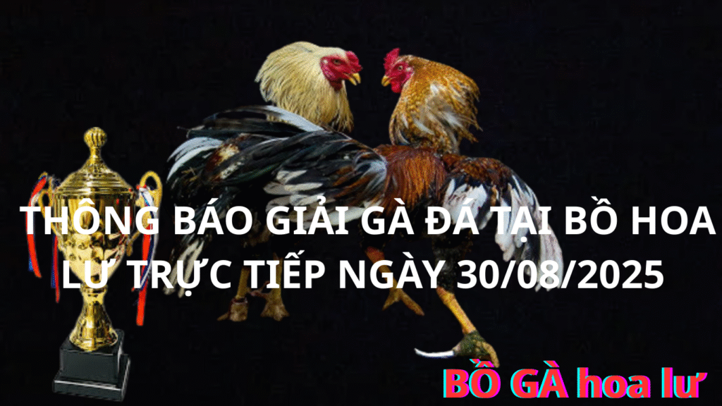Bồ Gà Hoa Lư - Lộc Ninh Bình Phước. đá giải gà trực tiếp ngày 30/08.2025 Đá Gà Trực Tiếp