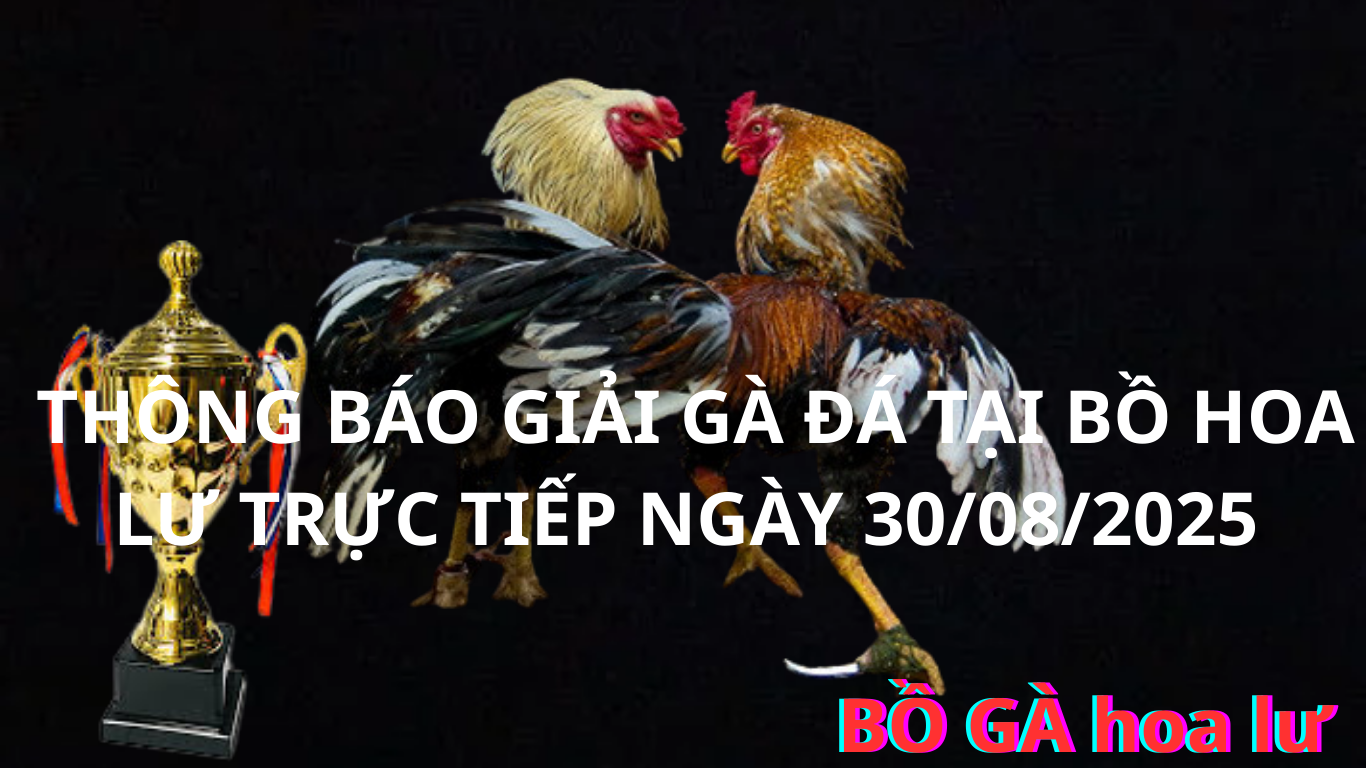 Bồ Gà Hoa Lư - Lộc Ninh Bình Phước. đá giải gà trực tiếp ngày 30/08.2025 Đá Gà Trực Tiếp