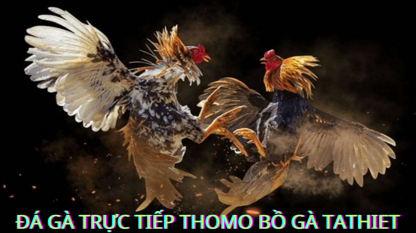 Cách Tham Gia đăng ký .tải app Đá Gà Trực Tiếp