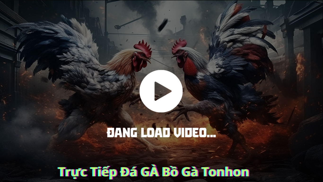 Những Lợi Ích Khi Tham Gia Trực Tiếp Đá GÀ Tại Bồ Gà Tonhon
