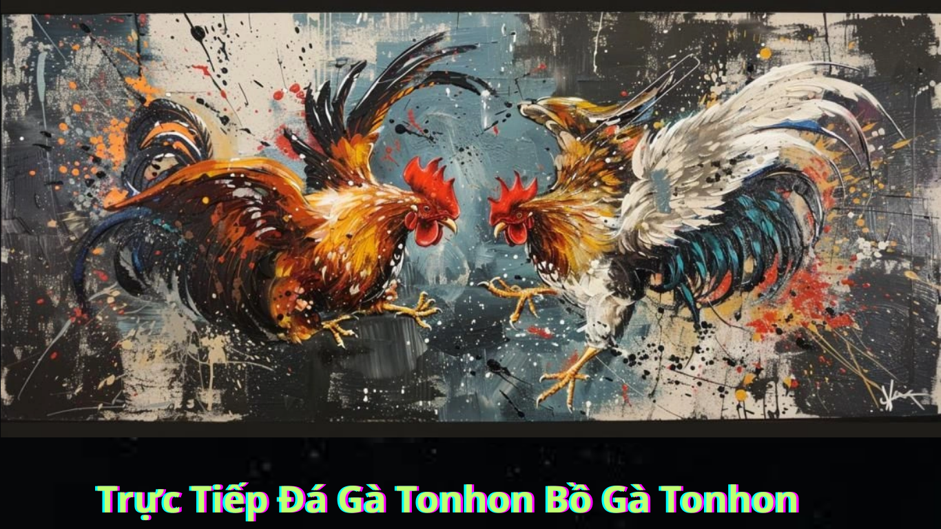 Trực Tiếp Đá Gà Tonhon Bồ Gà Tonhon Trải Nghiệm Hấp Dẫn Từ Dưới Tán Cây