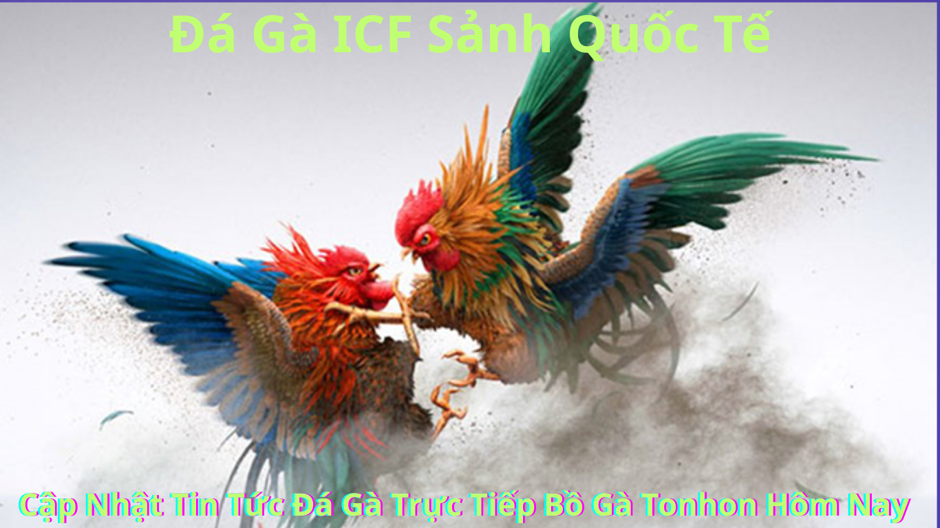 Các dịch vụ tại Đá Gà ICF Sảnh Quốc Tế