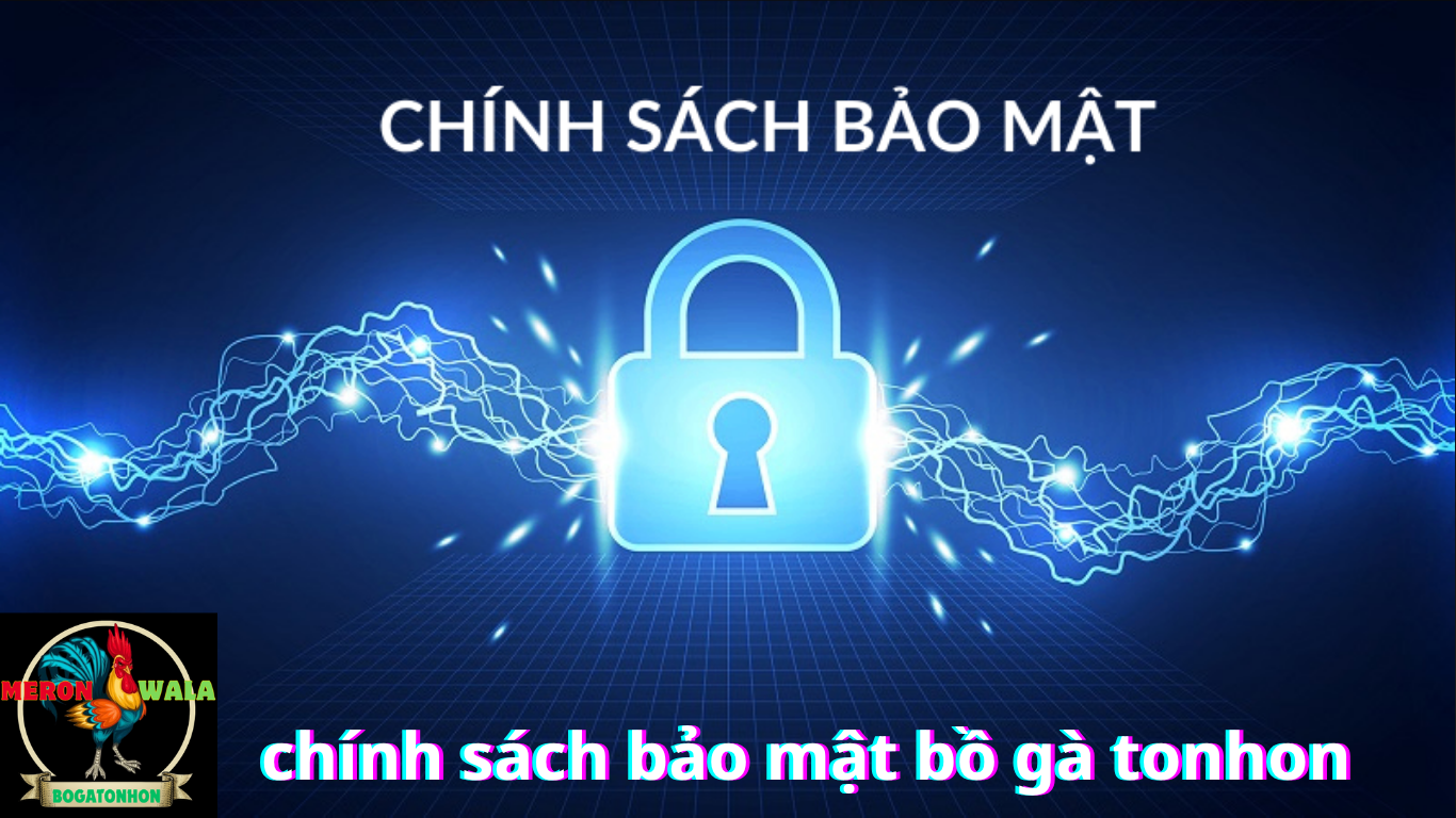 Chính sách bảo mật Bồ Gà Tonhon: Đảm bảo an toàn thông tin cho người dùng