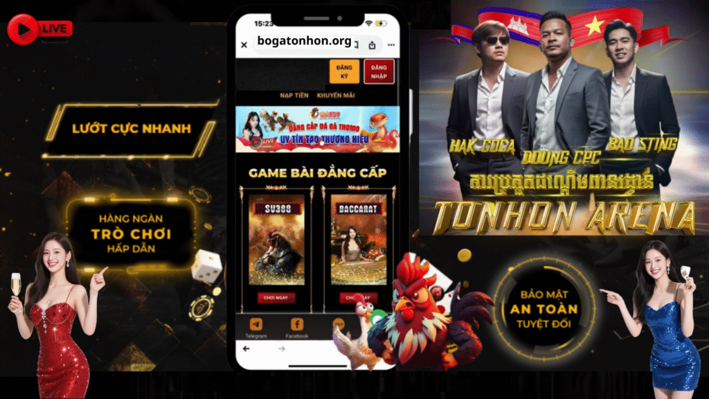 Bồ Gà Tonhon Trực Tiếp Đá Gà Hôm Nay Tất Tần Tật Thông Tin Nên Biết