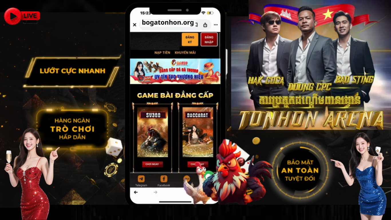 Bồ Gà Tonhon Trực Tiếp Đá Gà Hôm Nay Tất Tần Tật Thông Tin Nên Biết